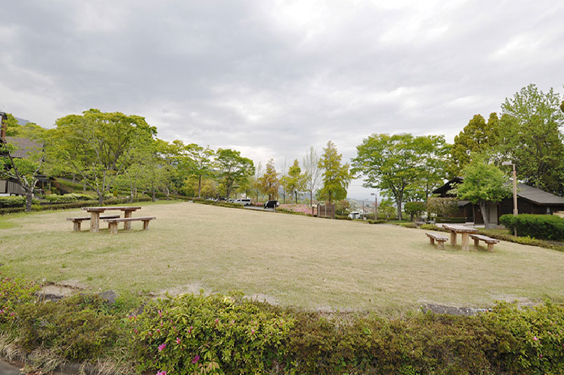 芝生広場と周辺の緑